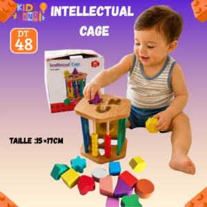 Intellectual cage